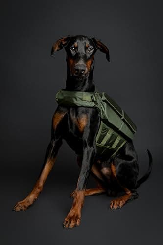 NOAH & PAW Dog Life Jacket, Human Standards Lifejacket Design, Dog Life Vest for Swimming and Boating, 3X Foam Support for Max Floating, Breathable Mesh, Salvavidas para Perros, Size XL - Image 6