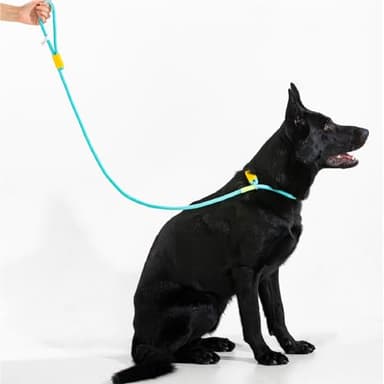 Maogoublue 4.9FT Pet Dog Leash with Zinc Alloy Swivel Buckle,Strong Durable Leashes for Walking and Training, Pet Leash Featuring for Large Dogs Heavy Duty Medium Small Dogs (Purple) - Image 7