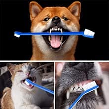 Newday Dog Toothbrush Set of 8 - Dual Headed, Dental Hygiene Convenient Soft Toothbrush to Clean pet Teeth, Dog Tooth Brushes for Small to Large Dogs, Cats, and Most Pets, Teeth Brush in Bulk - Image 5