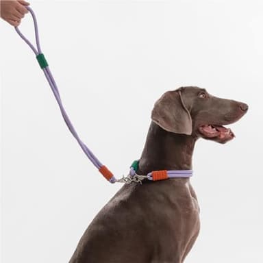 Maogoublue 2.29FT Dog Leash for Small Medium Large Dogs with 360° Rotating Alloy Buckle, Innovative Design, Adjustable Comfortable Handle and Sturdy Polyester Material (Pink) - Image 8