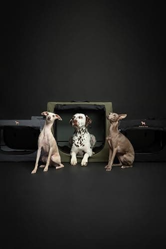 Noah & Paw Collapsible Dog Crate 42 Inch, XXL Dog Crate for XXL, XL, Large Breeds, Travel Kennel for Car, Includes Pet Mat for Pet Cage, 2 Storage Pockets, Handbag, 10mm Locking Zippers 42 * 31 * 31 - Image 7