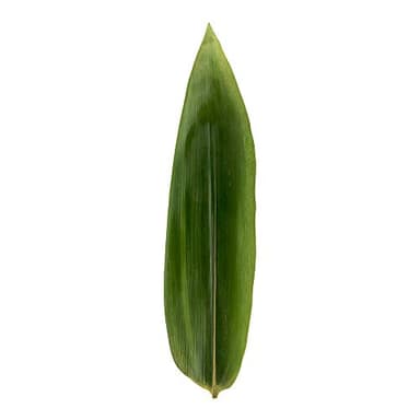 Restaurantware Doja 11.8 x 3.5 Inch Bamboo Leaves 1000 Fresh Bamboo Leaves - Vacuum Sealed Durable Bamboo Ecological Plant Leaves For Displaying Starters And Desserts Ideal For Restaurants - Image 2