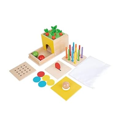 Adena Montessori 5 in 1 Wooden Montessori Play Kit Baby Toys,Object Permanence Box,Matchstick Color Drop,Cotton Swab Drop Game,Carrot Harvest and Coin Box for Kid 1 Year Old,Gift for Baby 6-12 Month - Image 1