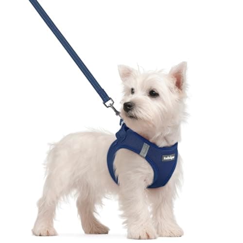 rabbitgoo Dog Harness Small Sized and Leash Set, Step in Soft Light Puppy Vest, Breathable Mesh Pet Harness, Reflective for Safe Outdoor Walking, Navy Blue S - Image 1