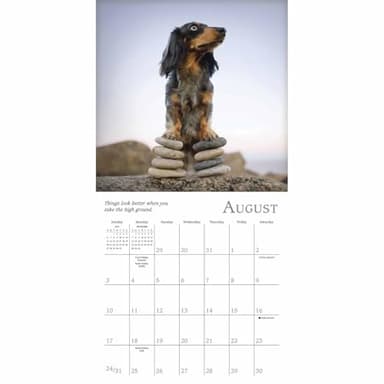 Dogma 2025 Mini Calendar: A Dog’s Guide to Life, 7" x 7" - Image 3