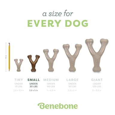 Benebone Wishbone Durable Dog Chew Toy for Aggressive Chewers, Made in USA, Small, Real Bacon Flavor - Image 4