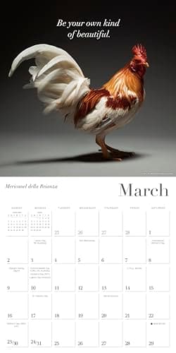 Glamour Chicks 2025 Wall Calendar, 16-Month Humor & Comic Calendar, 12" x 12" - Image 4