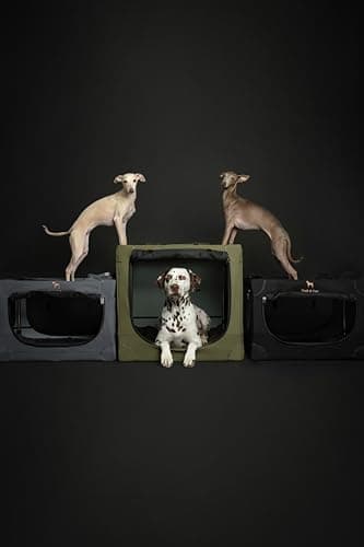 Noah & Paw Collapsible Dog Crate 42 Inch, XXL Dog Crate for XXL, XL, Large Breeds, Travel Kennel for Car, Includes Pet Mat for Pet Cage, 2 Storage Pockets, Handbag, 10mm Locking Zippers 42 * 31 * 31 - Image 4
