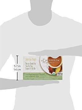 Davidson's Organics, Herbal Pumpkin Spice, 100-count Unwrapped Tea Bags - Image 2