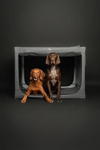 Noah & Paw Collapsible Dog Crate 36 Inches, XL Dog Crate for XL, Large Medium Breed, Travel Kennel for Car, Includes Pet Mat for Pet Cage, 2 Storage Pockets, Handbag, 10mm Locking Zippers 36*25*23 - Image 8