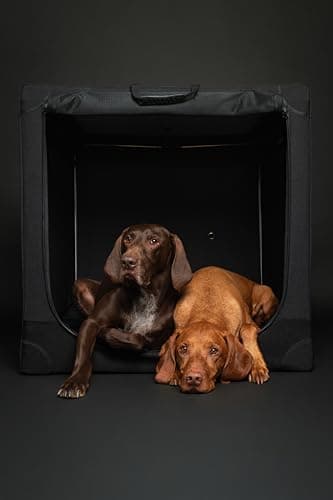 Noah & Paw Collapsible Dog Crate 42 Inch, XXL Dog Crate for XXL, XL, Large Breeds, Travel Kennel for Car, Includes Pet Mat for Pet Cage, 2 Storage Pockets, Handbag, 10mm Locking Zippers 42 * 31 * 31 - Image 3