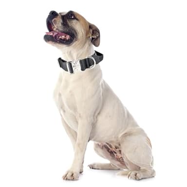 Comfluxe Tactical Dog Collar, Wide Thick Heavy Duty Dog Collar with Handle, Soft Neoprene Padded Military-Grade Nylon Training Collar with Quick Release Metal Buckle for Large Dogs(Black, M) - Image 8