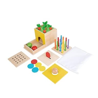 Adena Montessori 5 in 1 Wooden Montessori Play Kit Baby Toys,Object Permanence Box,Matchstick Color Drop,Cotton Swab Drop Game,Carrot Harvest and Coin Box for Kid 1 Year Old,Gift for Baby 6-12 Month - Image 3