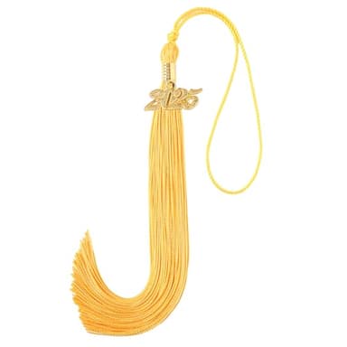 2025 Tassel Graduation, Graduation Tassel 2025 with 2025 Year Charm, 9" Size, Premium Silk Thread & Metal Charm, Commemorative Keepsake for Class of 2025 (Gold) - Image 1