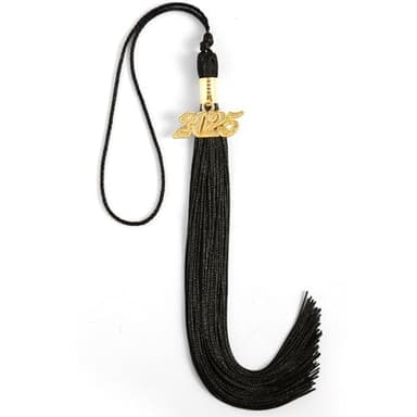 2025 Tassel Graduation, Graduation Tassel 2025, 9" Size with 2025 Year Charm, Premium Silk Thread & Metal Charm, Commemorative Keepsake for Class of 2025 (Black) - Image 1