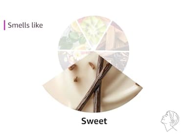 eos Shea Better Cashmere Body Wash, Vanilla Cashmere, Moisturizing, pH Balanced Body Wash, Creamy Gel Formula, Paraben & Phthalate Free, Sensitive Skin, 16 fl oz - Image 8