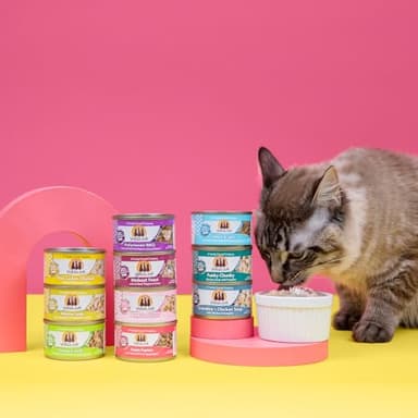 Weruva Classic Cat Food, Paw Lickin’ Chicken with Chicken Breast in Gravy, 3oz Can (Pack of 24) - Image 8