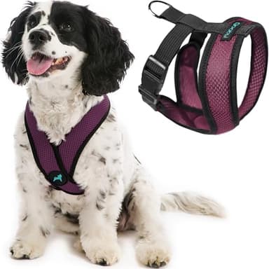 Gooby Comfort X Head in Harness - Purple, Small - No Pull Dog Harness with Patented Choke-Free X Frame for Small to Medium Dogs Indoor/Outdoor Use - Image 1