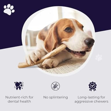 Devil Dog Pet Co. Elk Antlers for Dogs, Medium 5"+, 1 Pack, Grade A Long Lasting Chew for Aggressive Chewers, Premium USA Naturally Shed Antler – Healthy, No Odor, Durable Dog Chew - Image 4