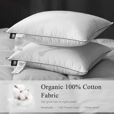 DWR Star Hotel Style Goose Feather & Down Pillow with 100% Organic Cotton Cover, Medium Support, Fluffy & Durable, King Size 20"x36", Set of 2 - Image 2