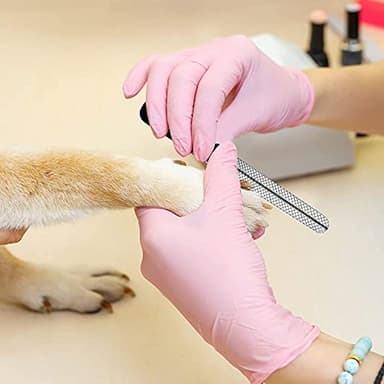 Candure Dog Nail Clippers and Trimmer with Safety Guard to Avoid Over-Cutting Toe Nails Professional Grooming Pet Nail Clipper with Nail File for Small Medium-Large Breeds - Image 7