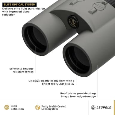 Leupold BX4-Range HD Gen 2 TBR/W 10x42 Shadow Gray - Image 2