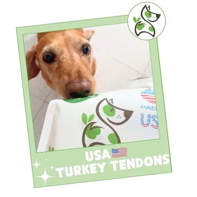 Nature Gnaws USA Turkey Tendons for Dogs (4oz) - Delicious Grain Free Reward Snack for Small, Medium & Large Breeds - Premium Natural Dog Chew Treats - Image 7