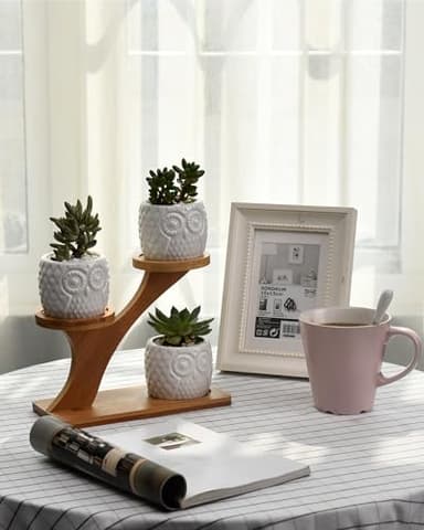 FLOWERPLUS Planter Pots Indoor, 3 Pack 3 Inch White Ceramic Decorative Small Owl Succulent Cactus Flower Plant Pot with Tree Tier Bamboo Stand for Garden Kitchen Home Office Desk Decorations - Image 6