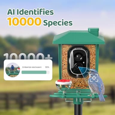 Bird Feeder with Camera Outdoor Solar: Smart Birdfeeder with AI Recognition - 2K HD Live Stream Video Camera for Outside Wild Birds Garden Decor - Bird Lover Gifts - Image 3