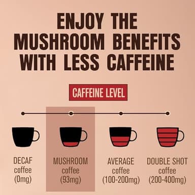 ShroomDNA Mushroom Coffee Blend with Chaga & Lion's Mane | Instant Focus + Clarity All Day | Organic + Vegan + Gluten Free | No Added Sugar | 20 Count - Image 6