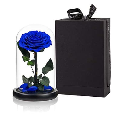 Preserved Roses Handmade Rose in Glass Dome, Preserved Flowers Never Withered Romantic Gifts for Her, Mother's Day, Birthday Gifts for Women (9 inch, Blue) - Image 1