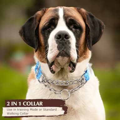 Martingale Collar for Dogs with Blue Geometric Diamonds, Trainer Approved Limited Slip Collar with Stainless Steel Chain, Adjustable No Choke Dog Collar, Perfect for Training, Walking, Hunting (M) - Image 4