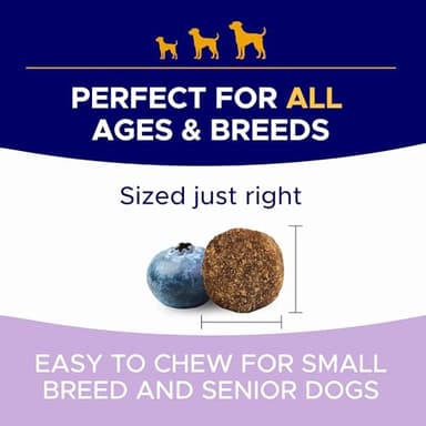 GOODGROWLIES Probiotics for Dogs Gut Health & Digestive Function Support - Probiotic Chews w Pumpkin & Omega - Upset Stomach & Gas Relief, Constipation, Canine Prebiotic Supplement - Image 5