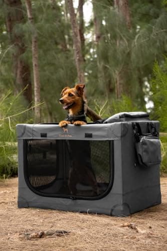 Noah & Paw Collapsible Dog Crate 36 Inches, XL Dog Crate for XL, Large Medium Breed, Travel Kennel for Car, Includes Pet Mat for Pet Cage, 2 Storage Pockets, Handbag, 10mm Locking Zippers 36*25*23 - Image 7