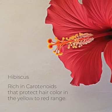 L'ANZA Healing ColorCare Trauma Treatment, Hair Treatment for Dry Damaged Hair, Extends Color Longevity, For Healthy and Vibrant Color with Split End Repair & Hair Shine, Luxury Hair Care - Image 6