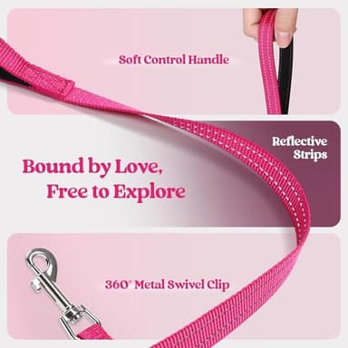 rabbitgoo Dog Harness Small Sized and Leash Set, Step in Soft Light Puppy Vest, Breathable Mesh Pet Harness, Reflective for Safe Easy Walking, Rose Red M - Image 7