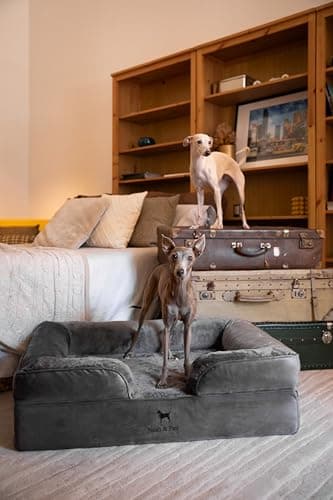 NOAH & PAW Large Dog Bed, 35x25x11 Inch, Orthopedic Dog Beds, Eggshell Memory Foam Infused with Cooling Gel, Inner Cover, Waterproof, Machine Washable (Velvet Sofa Collection) - Image 3