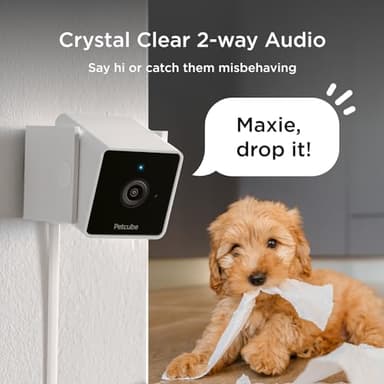 Petcube Cam The Pack of 2 | Indoor Wi-Fi Pet Security Camera with Phone App, 2-Way Audio and Video, Night Vision, 1080p HD Video and Smart Alerts - Image 3