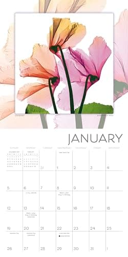 Flower Spirits 2025 Mini Calendar — Radiographs of Nature by Steven N. Meyers, 7" x 7" - Image 3
