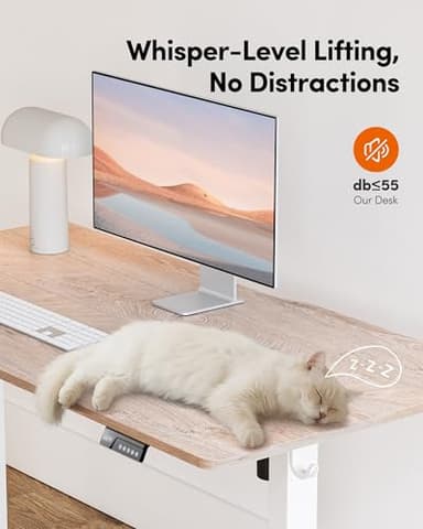 FEZIBO Standing Desk, 48 × 24 Inches Electric Height Adjustable, Sit and Stand Up, Computer Office Desk with Splice Board, White Frame/Maple TOP - Image 8