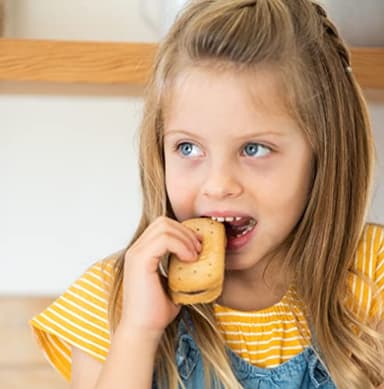 Olyra Variety Pack Sandwich Breakfast Biscuits, Healthy Snacks for Adults and Kids, Low Sugar, Organic Cookies, Office Snacks, USDA Certified, Non GMO 24 Packs - Image 9