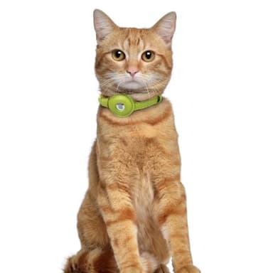 OOPSDOGGY Leather AirTag Cat Collar with Bell - Non Breakaway Kitten Collar with Apple Air Tag Holder - Lightweight GPS Pet Collars for Girl Boy Cats, Small Dogs, Puppies (Lime Green) - Image 6