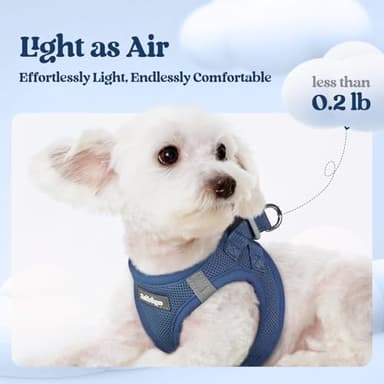 rabbitgoo Dog Harness Small Sized and Leash Set, Step in Soft Light Puppy Vest, Breathable Mesh Pet Harness, Reflective for Safe Outdoor Walking, Navy Blue S - Image 3