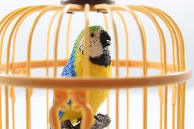 Chirping Bird in Cage – Realistic Singing & Moving Bird Toy with Lifelike Sounds, Motion Sensor & Beak Animation | Premium Desk & Room Decoration | Battery - Operated - Image 6