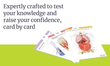 Anatomy Flashcards: 300 Flashcards with Anatomically Precise Drawings and Exhaustive Descriptions - Image 4