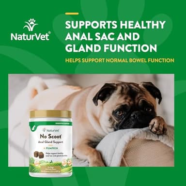 NaturVet - No Scoot for Dogs - 120 Soft Chews - Plus Pumpkin - Supports Healthy Anal Gland & Bowel Function - Enhanced with Beet Pulp & Psyllium Husk - Image 4