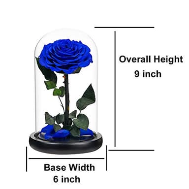 Preserved Roses Handmade Rose in Glass Dome, Preserved Flowers Never Withered Romantic Gifts for Her, Mother's Day, Birthday Gifts for Women (9 inch, Blue) - Image 6