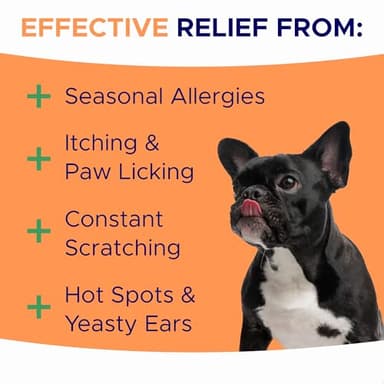 Dog Allergy Relief Chews — Anti-Itch Skin & Coat Supplement: No Fillers, Just Flavor - Itchy Skin Relief Treatment w/Omega 3 Fish Oil - Itching&Paw Licking - Dry Skin&Hot Spots - Made in USA - 180Ct - Image 2