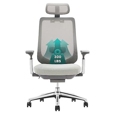 COLAMY Ergonomic Mesh Office Chair, High Back Computer Executive Desk Chair with Adjustable Headrest and 4D Arms, Slide Seat, Tilt Lock-Light Grey - Image 1