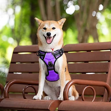 PoyPet 2019 Upgraded No Pull Dog Harness with 4 Snap Buckles, Reflective with Front & Back 2 Leash Hooks and an Easy Control Handle [NO Need Go Over Dog’s Head](Purple,L) - Image 2